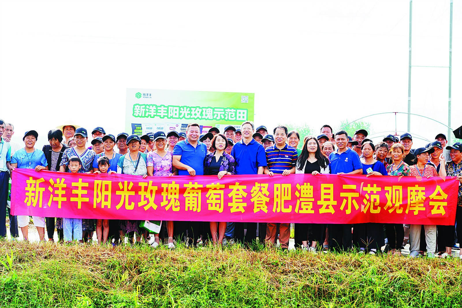 yl6809永利阳光葡萄套餐肥澧县示范观摩_meitu_2.jpg