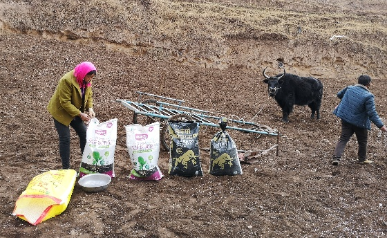 3月17日 播种2.jpg